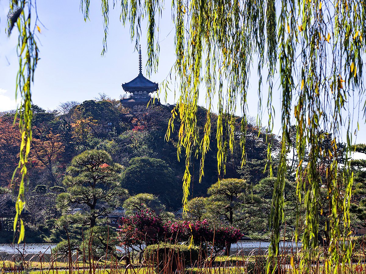 🏞️ 산케이엔 정원 (산케이엔) 이미지 6